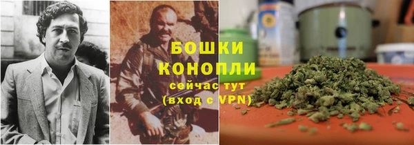 винт Арсеньев
