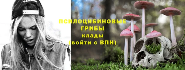 винт Арсеньев