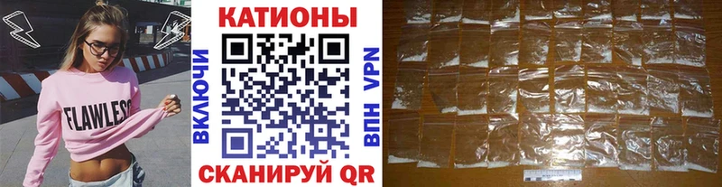 МЯУ-МЯУ мяу мяу Зеленоградск
