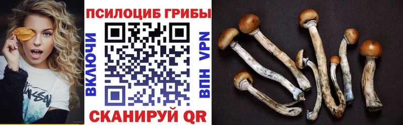 Псилоцибиновые грибы MAGIC MUSHROOMS  MEGA   Зеленоградск  продажа наркотиков 